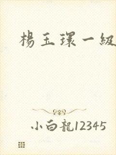 杨玉环一级淫片