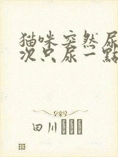 猫咪突然尿频每次只尿一点封面