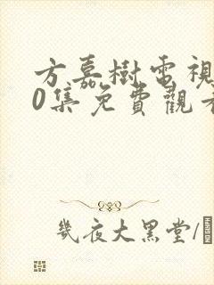 方嘉树电视剧40集免费观看