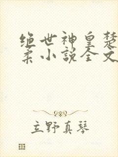 绝世神皇楚枫苏柔小说全文免费阅读