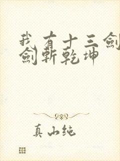 我有十三剑,剑剑斩乾坤