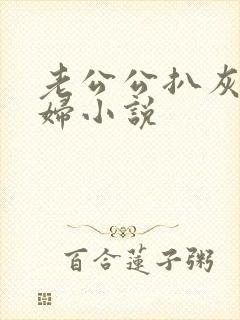 老公公扒灰儿媳妇小说封面