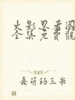 火影忍者国语版全集免费观看封面