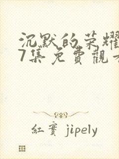 沉默的荣耀第27集免费观看