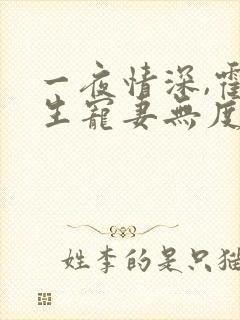 一夜情深,霍先生宠妻无度全书