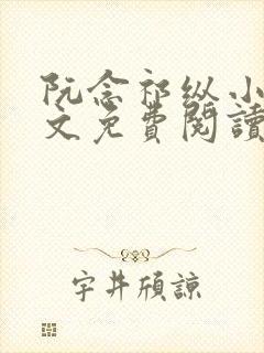 阮念祁纵小说全文免费阅读