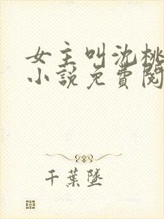 女主叫沈桃桃的小说免费阅读