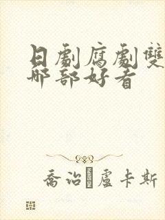 日剧腐剧双男主哪部好看