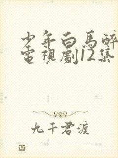 少年白马醉春风电视剧12集免费播放在线封面