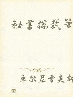 秘书总裁笔趣阁