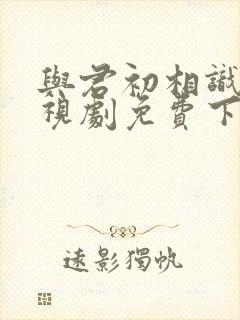 与君初相识 电视剧免费下载