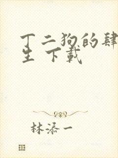 丁二狗的肆意人生 下载封面