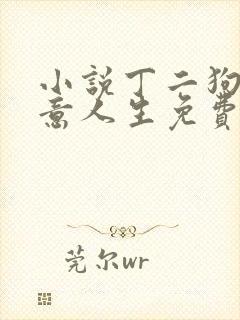 小说丁二狗的肆意人生免费阅读封面