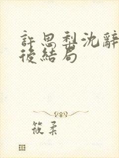 许思梨沈辞越最后结局