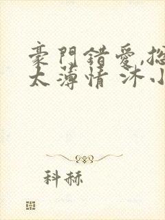 豪门错爱,总裁太薄情 沐小乌