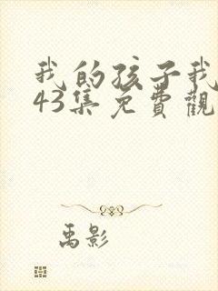 我的孩子我的家43集免费观看