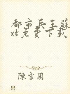 都市兵王苏狂txt免费下载