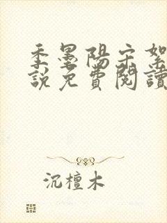 季墨阳宋絮晚小说免费阅读全文最新章节