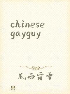 chinesegayguy封面