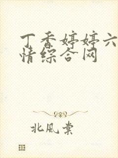 丁香婷婷六月激情综合网