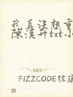 我真没想重生啊陈汉升txt小说下载