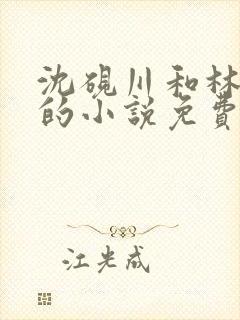 沈砚川和林娇娇的小说免费阅读