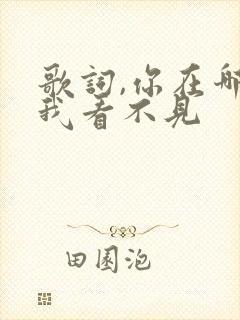 歌词,你在哪,我看不见