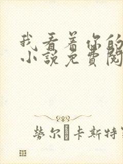 我看着你的时候小说免费阅读