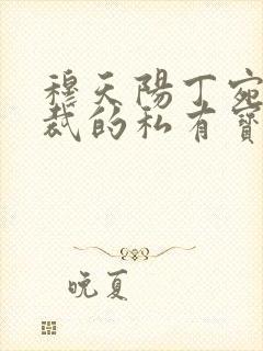 穆天阳丁宛情总裁的私有宝贝