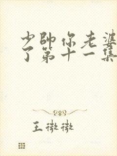 少帅你老婆又跑了第十一集