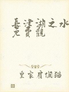 长津湖之水门桥免费观