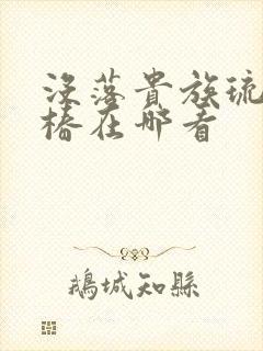 没落贵族琉璃川椿在哪看