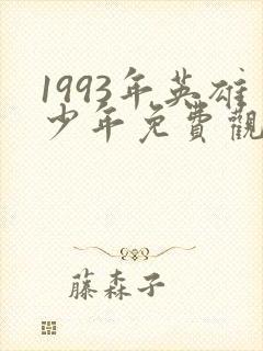 1993年英雄少年免费观看高清