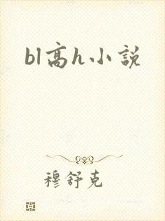 bl高h小说封面