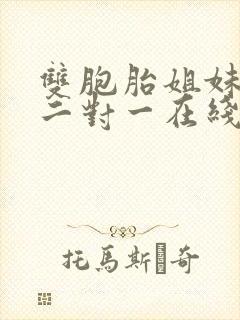 双胞胎姐妹韩剧二对一在线观看