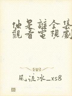 他是谁全集免费观看电视剧高清