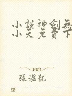 小说神剑无敌杨小天免费下载