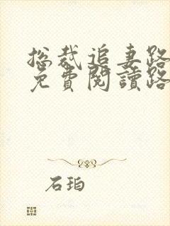 总裁追妻路漫漫免费阅读路漫漫