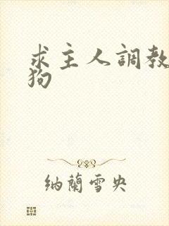 求主人调教骚母狗