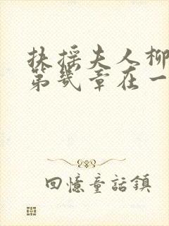 扶摇夫人柳真真第几章在一起的封面