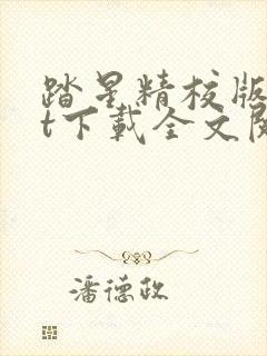 踏星精校版txt下载全文阅读