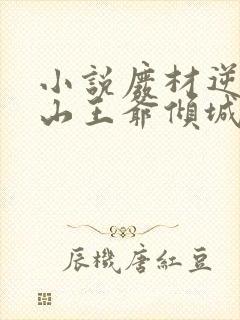 小说废材逆袭冰山王爷倾城妃