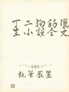 丁二狗的猎艳人生小说全文免费阅读封面