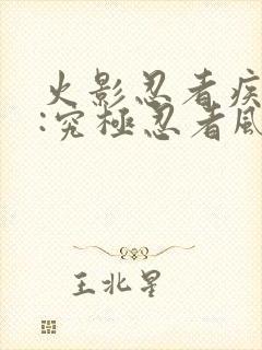 火影忍者疾风传:究极忍者风暴3下载封面