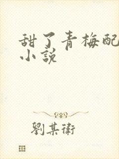 甜了青梅配竹马小说