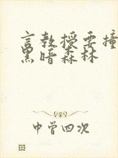 言教授要撞坏了黑暗森林封面