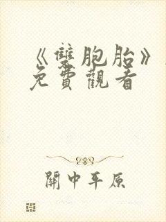 《双胞胎》韩剧免费观看封面