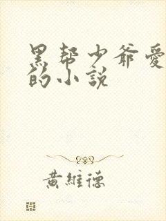 黑帮少爷爱上我的小说