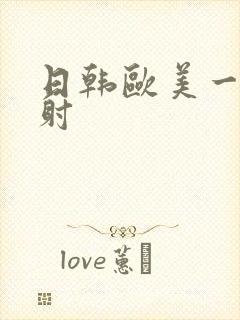 日韩欧美一级内射