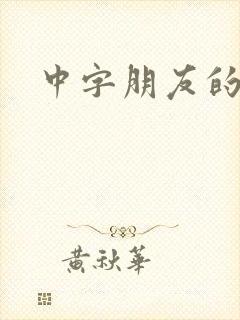 中字朋友的妈妈